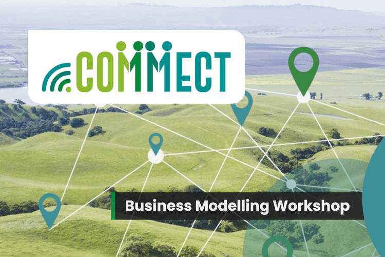 COMMECT – Workshop on Business Modelling