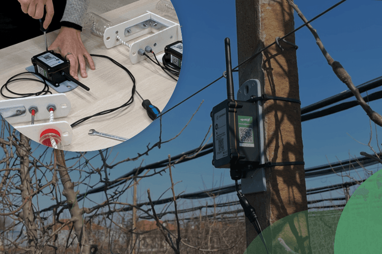 Frost Prediction Solution in Action