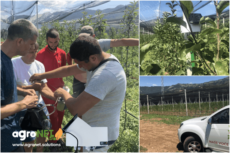 Implementation of agroNET solution in Montenegro