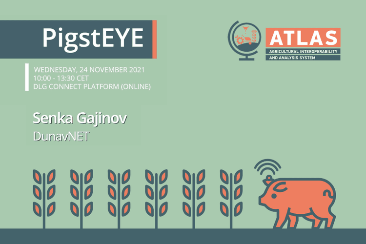 PigstEYE presentation