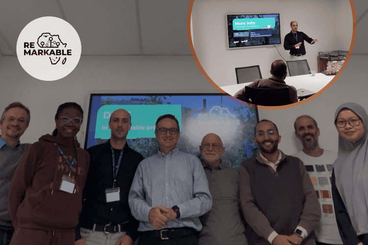 REMARKABLE Secondment at ICTP, Trieste