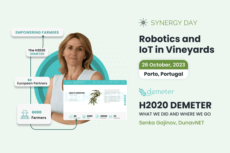 Synergy Day, Porto