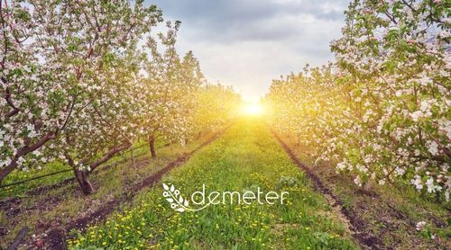 DEMETER Pilot 5.1: Going Green in Agriculture
