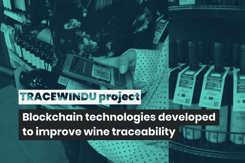 H2020 TRACEWINDU project