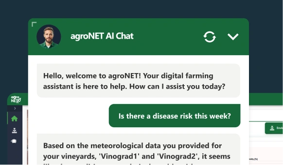 Get a straight answer in plain language, 24/7