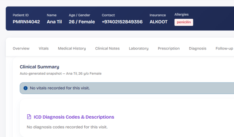 Structured notes, treatment plans, quotations and the full patient summary