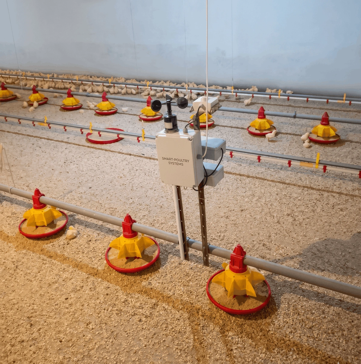 Climate & airflow sensor in the broiler house